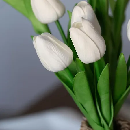 Fewohome Lothe Schwalenberg Schiedersee شقة Schieder-Schwalenberg