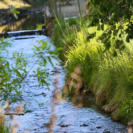 Fewohome Lothe Schwalenberg Schiedersee * Schieder-Schwalenberg