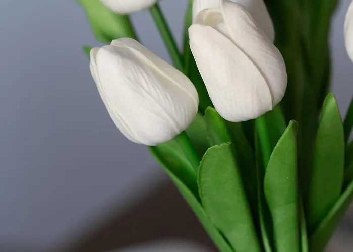 Fewohome Lothe Schwalenberg Schiedersee Appartement Schieder-Schwalenberg