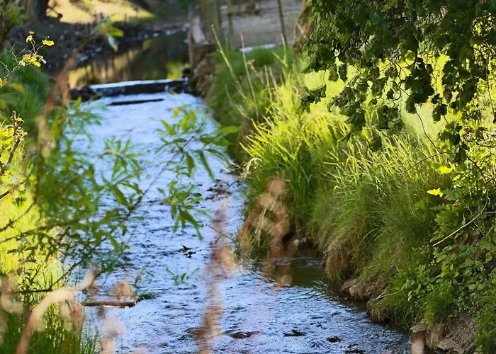 Fewohome Lothe Schwalenberg Schiedersee * 席德尔·施瓦伦贝尔